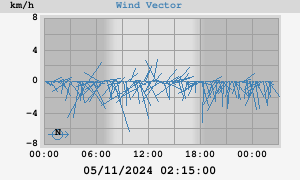 Wind Vector